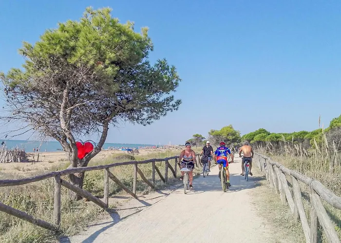 Beautiful In Apartament *